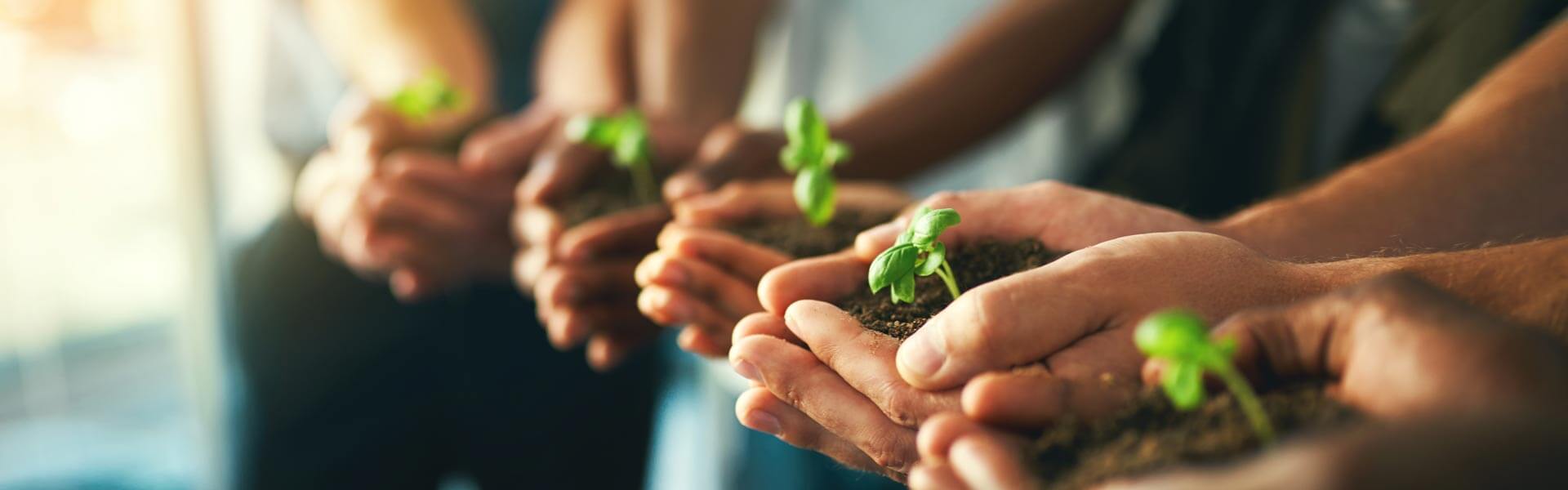 GVO Stiftung - Bewerbung Nachhaltiges Projekt