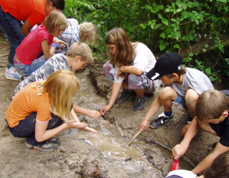 Umwelt und Kultur im Jeddeloher-Busch.